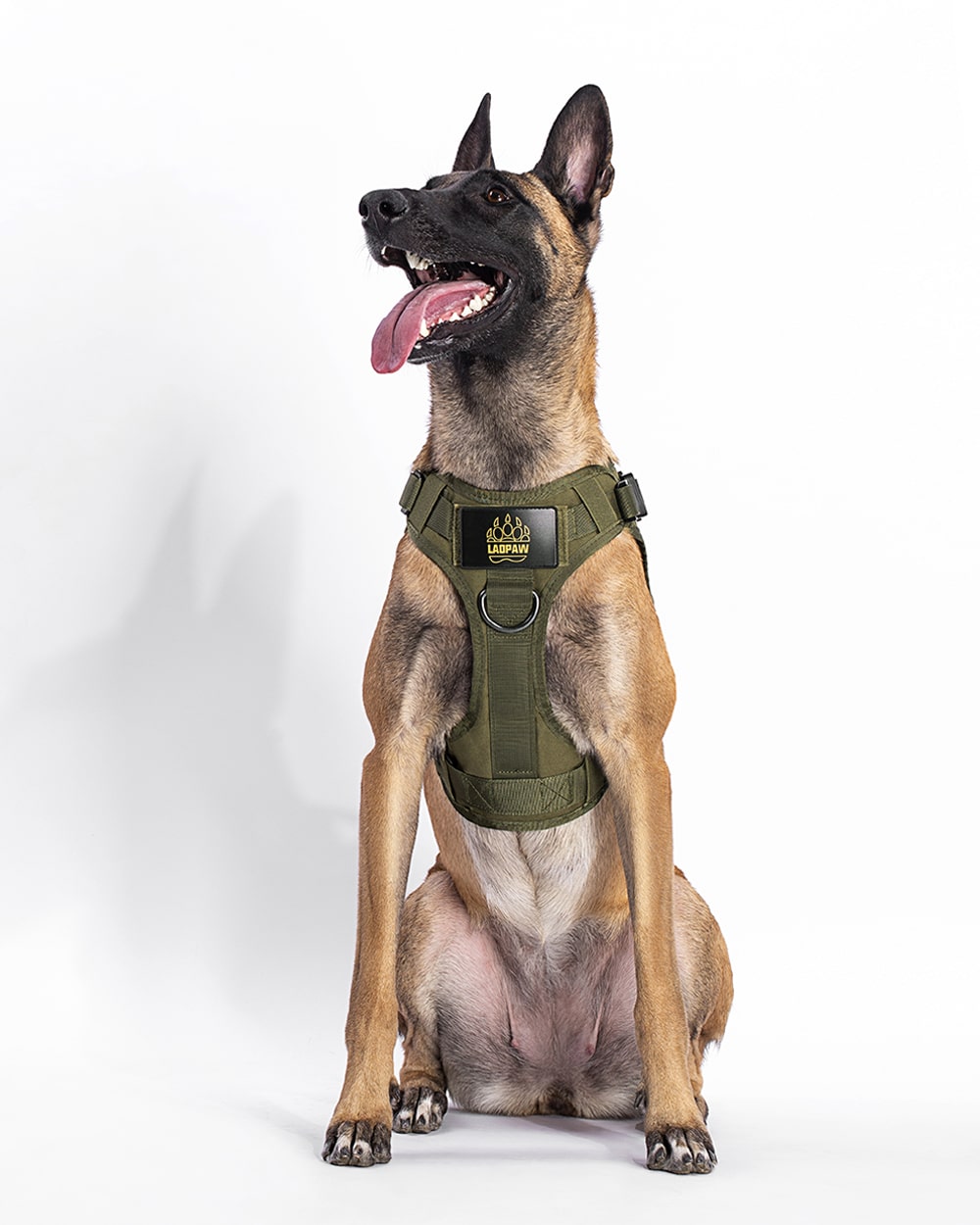 TACTIC TACTICAL DOG HARNESS