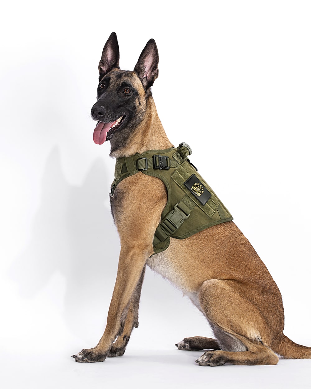 TACTIC TACTICAL DOG HARNESS