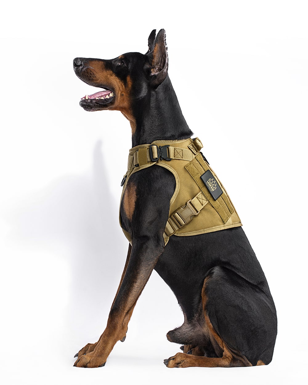 TACTIC TACTICAL DOG HARNESS