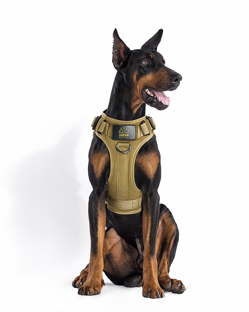TACTIC TACTICAL DOG HARNESS