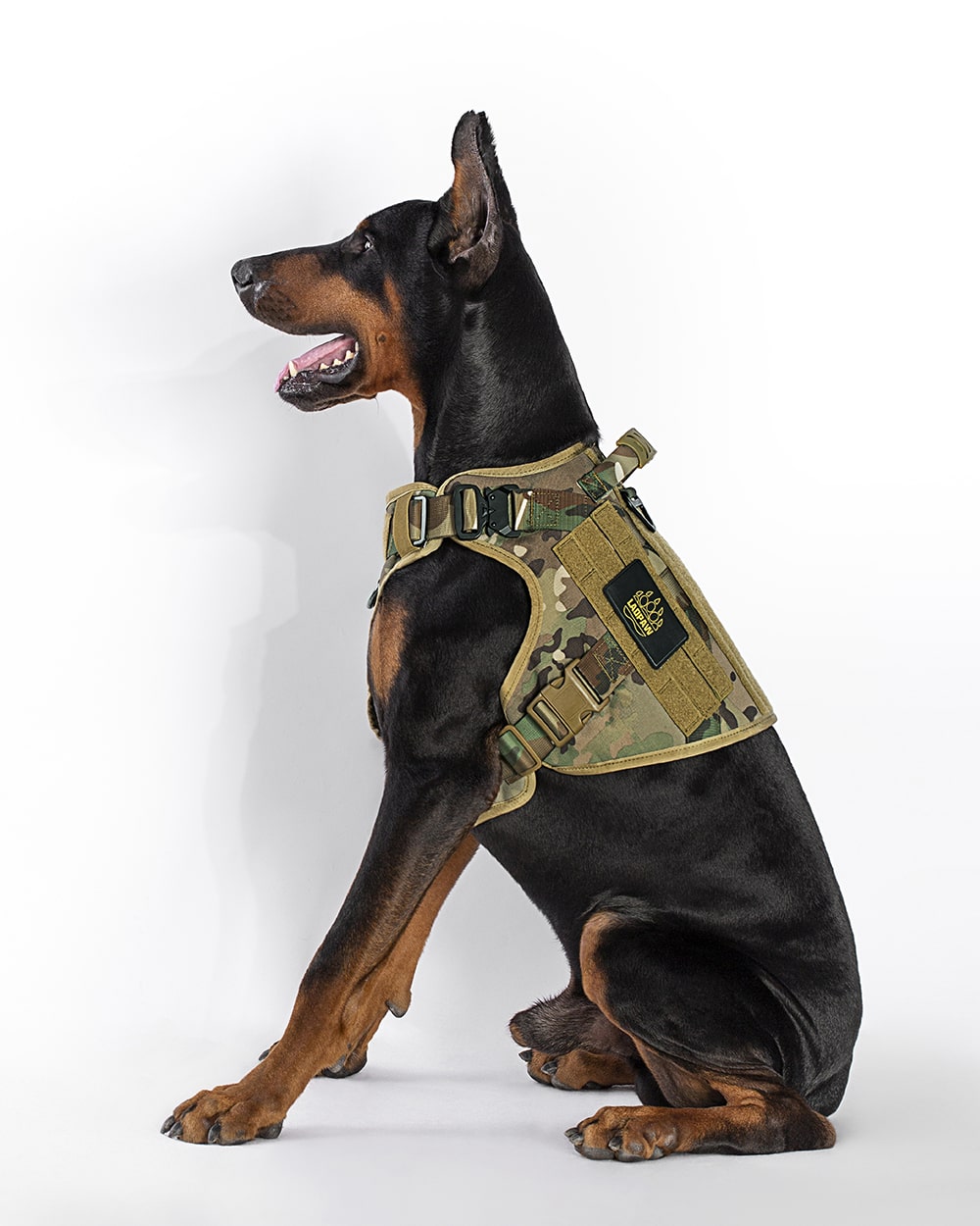 TACTIC TACTICAL DOG HARNESS