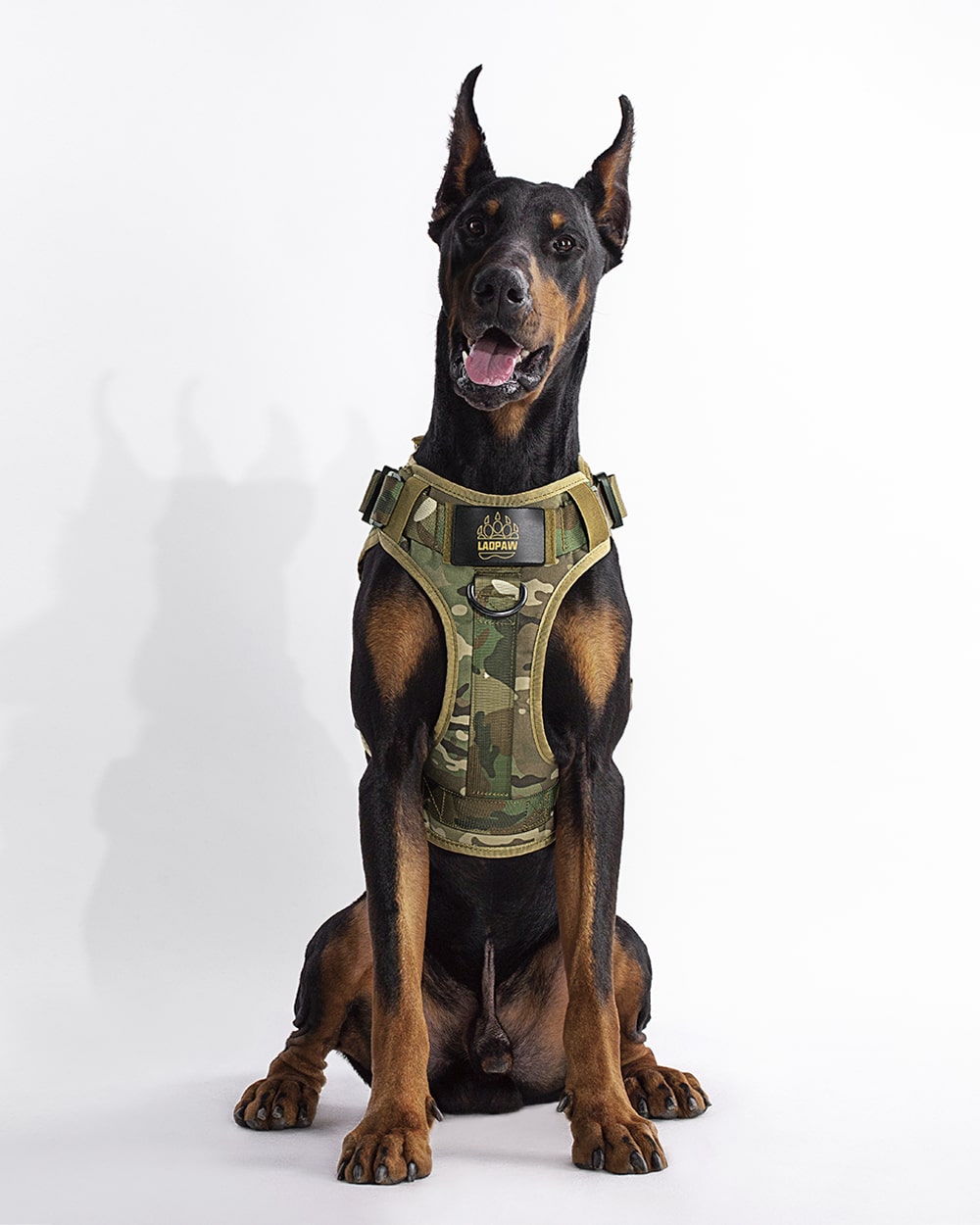 TACTIC TACTICAL DOG HARNESS