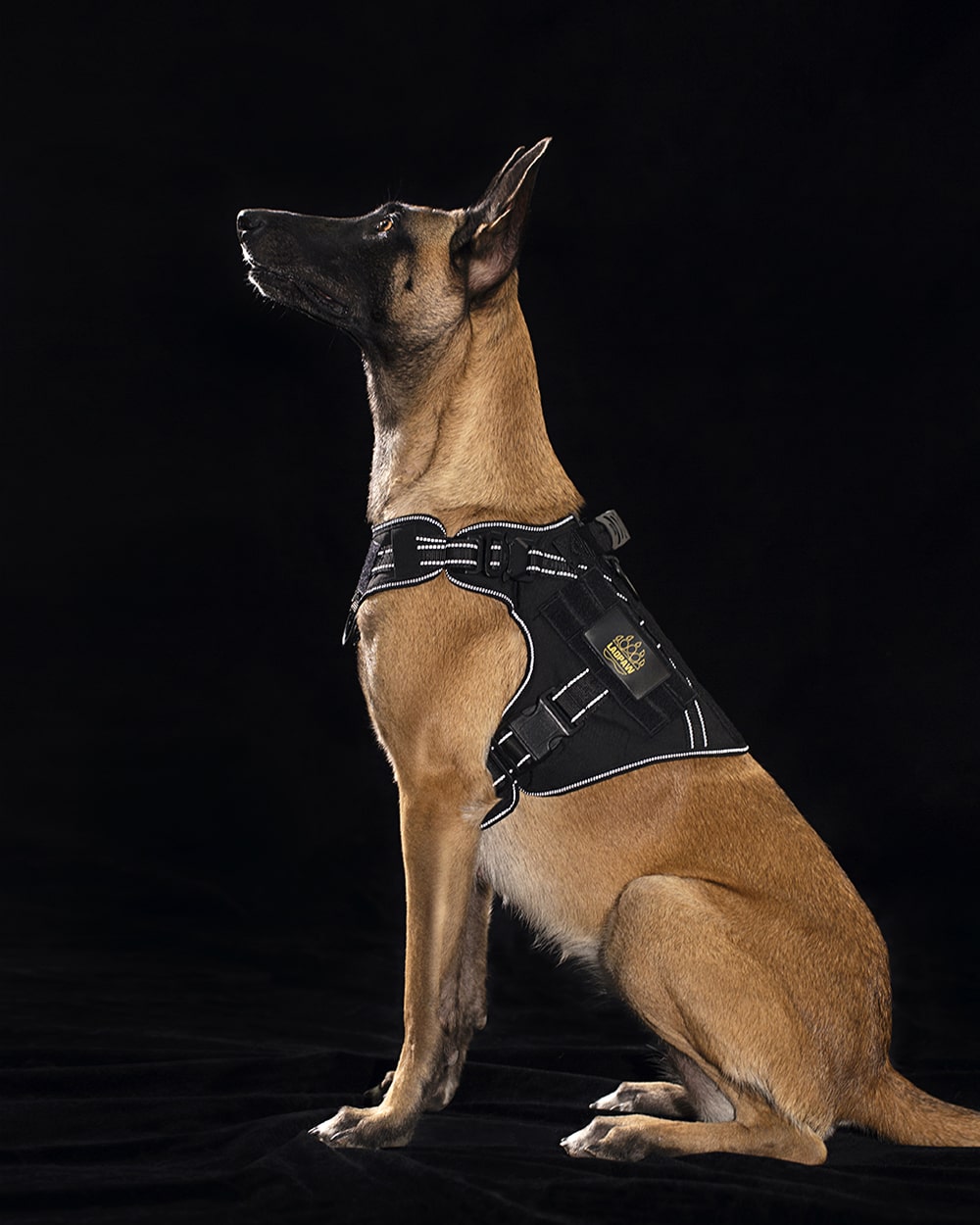 TACTIC TACTICAL DOG HARNESS