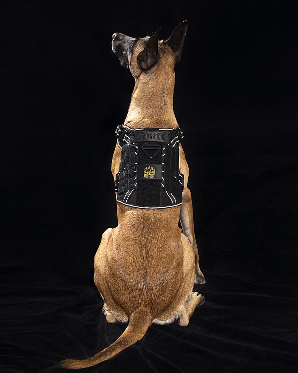 TACTIC TACTICAL DOG HARNESS