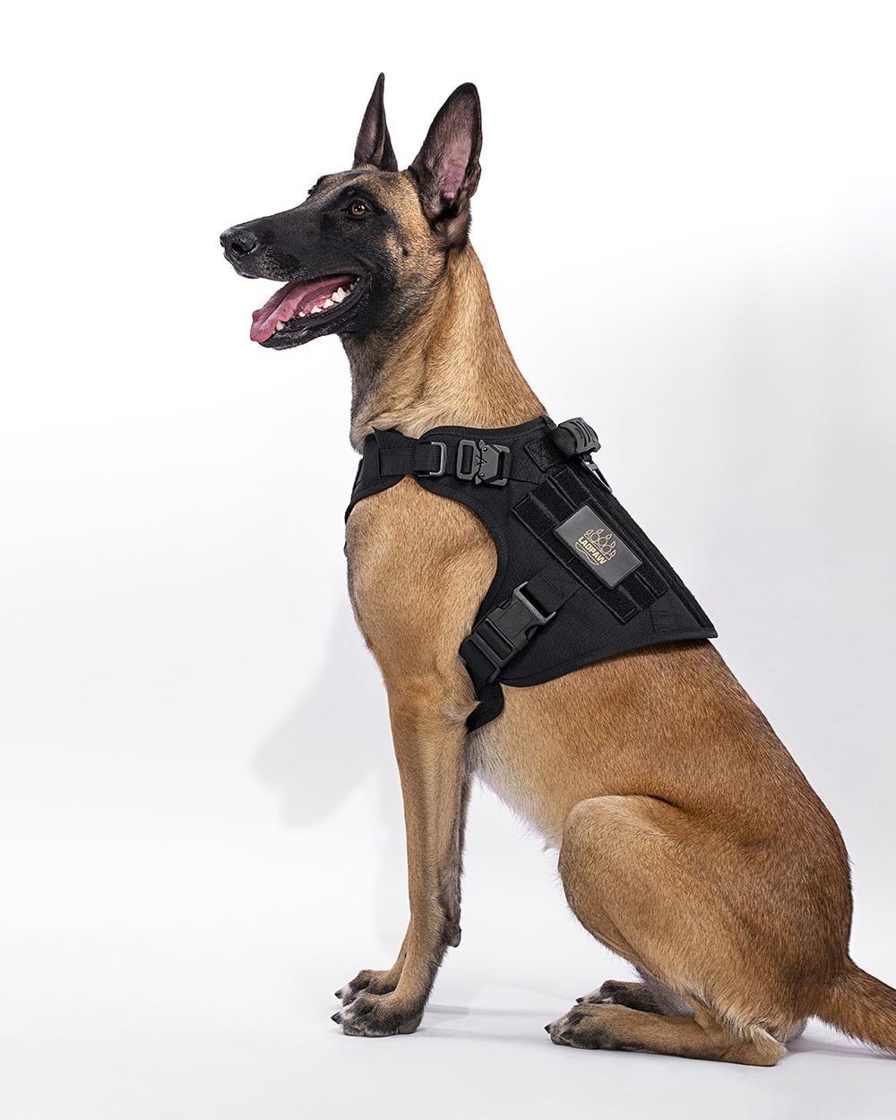 TACTIC TACTICAL DOG HARNESS