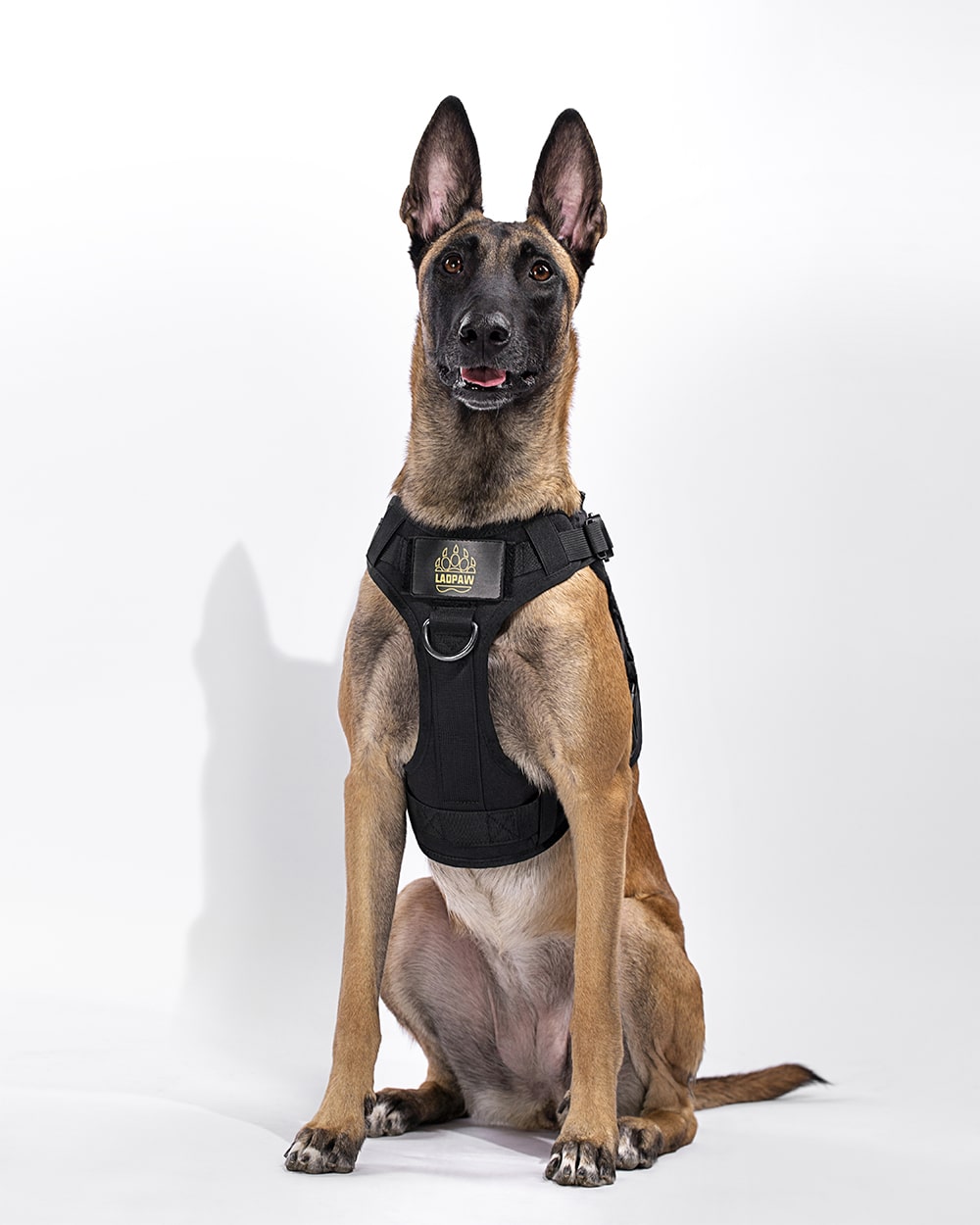 TACTIC TACTICAL DOG HARNESS