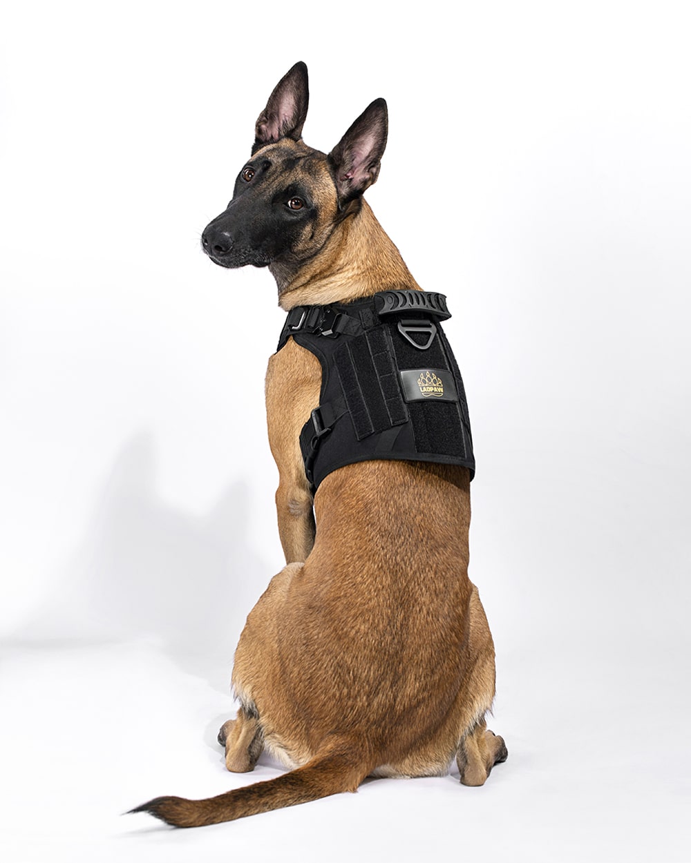 TACTIC TACTICAL DOG HARNESS