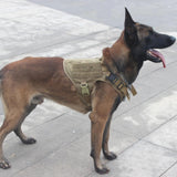 molle-svpro-tactical-dog-harness.jpg