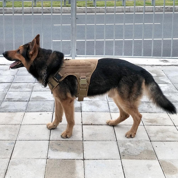 molle-svpro-tactical-dog-harness.jpg